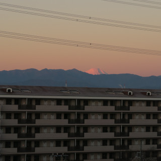 30155840_Unknown
